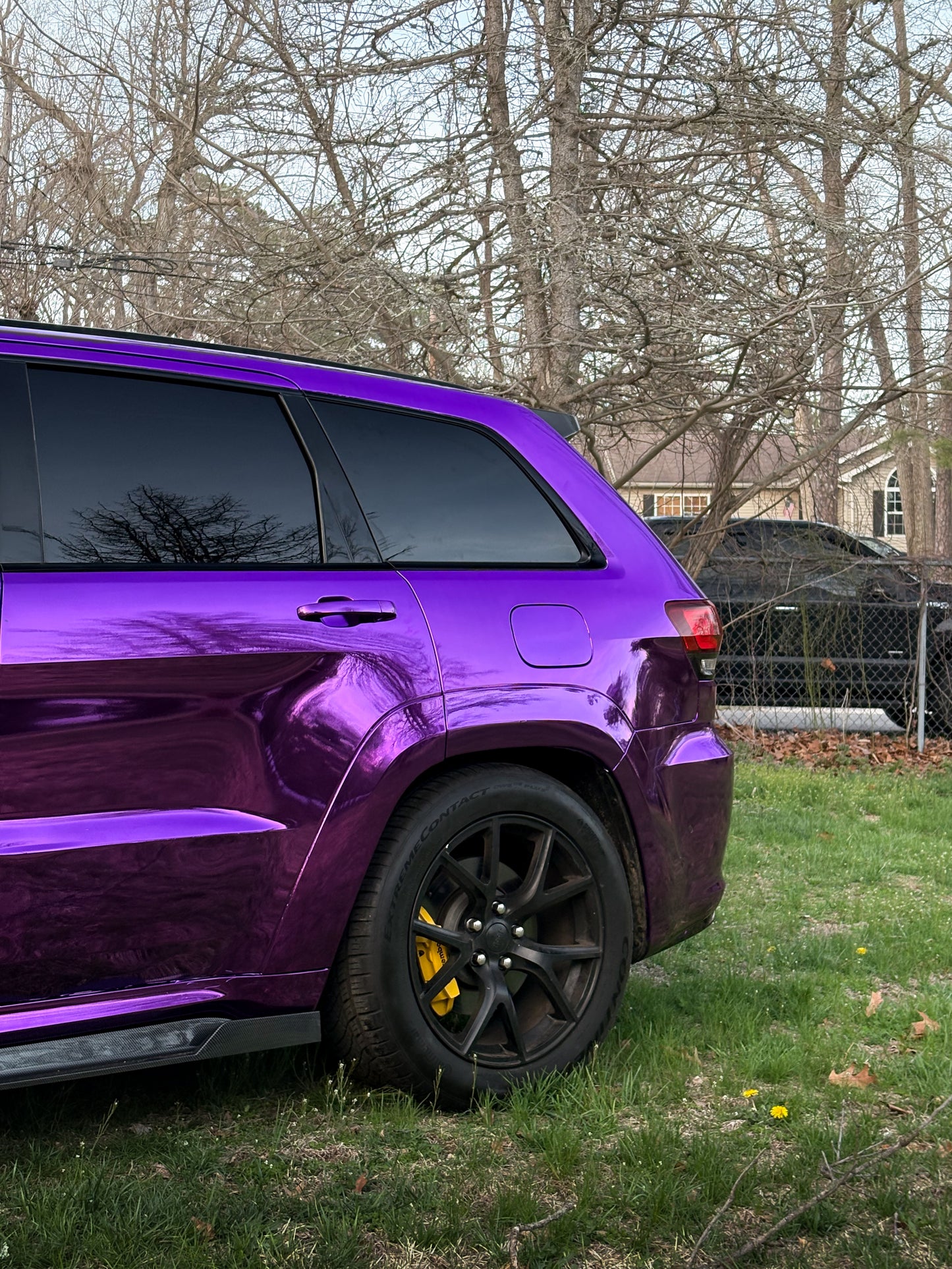 Grape purple