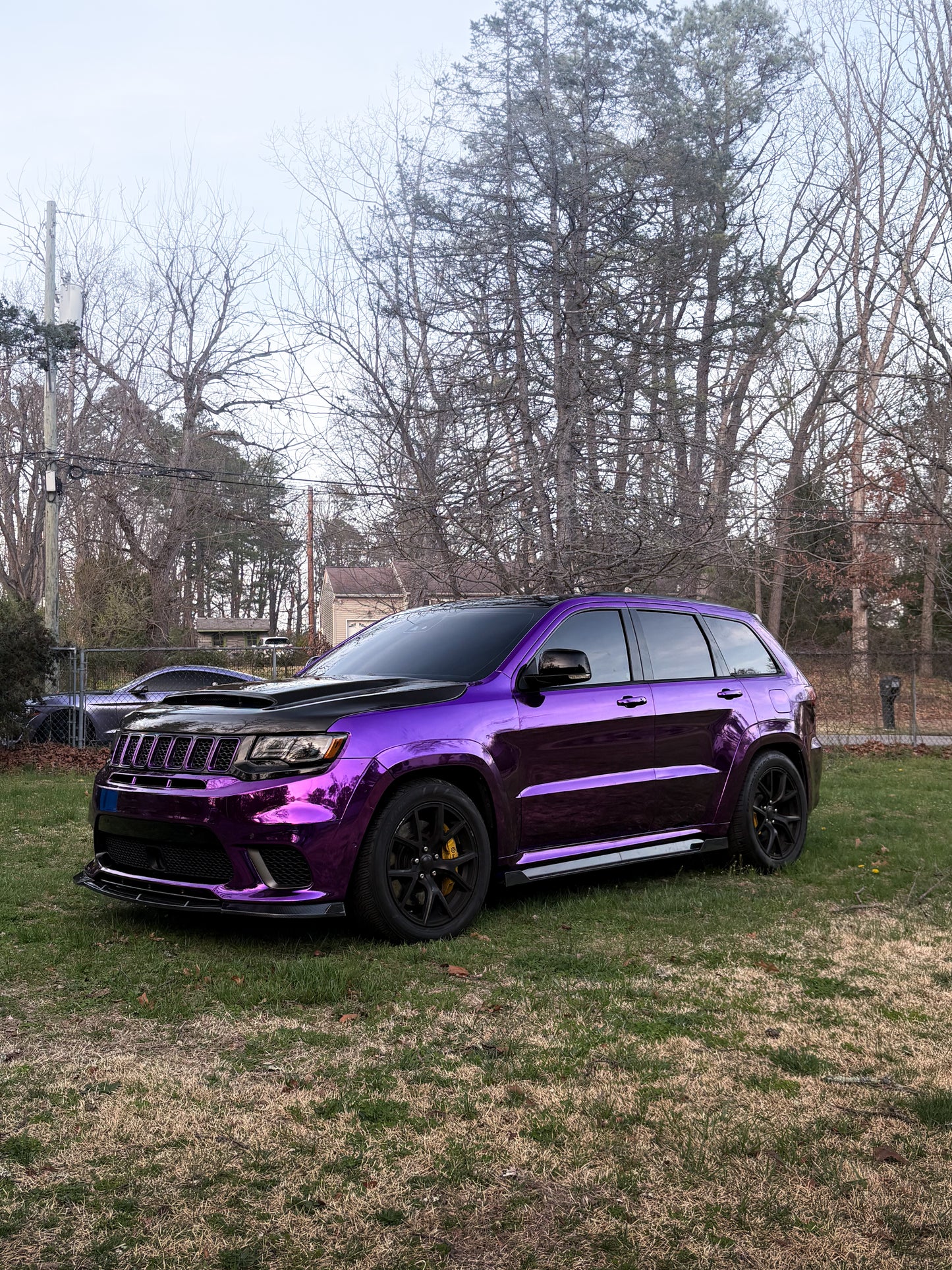 Grape purple