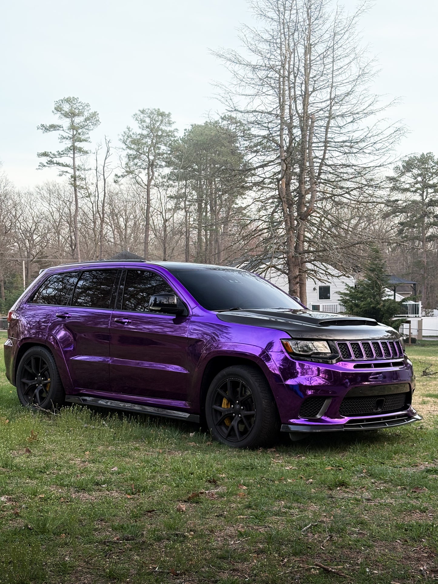 Grape purple