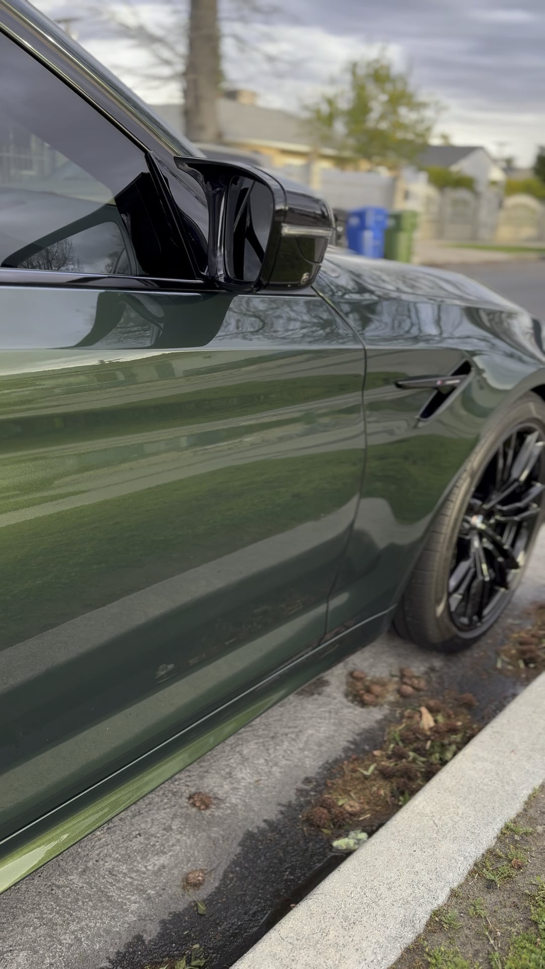 BMW Saint Remo Green